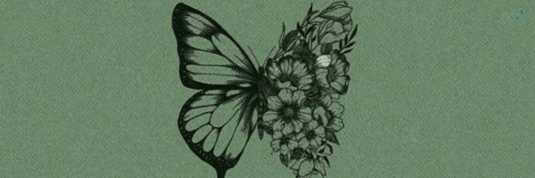 ‌Kimia‌'s header picture
