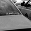 Profile picture of ‌مـ؏شوقهـ🤚🏻‌