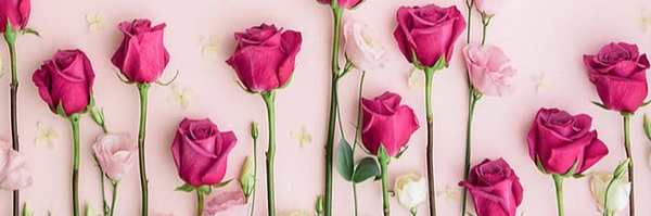 ‌Nazanin‌'s header picture