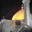 Profile picture of ‌MOHAMMAD ALI¹¹⁰‌