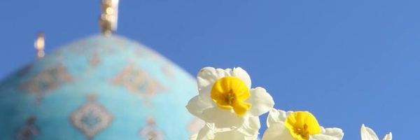 ‌Hosna💕‌'s header picture