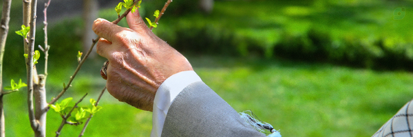 ‌Maedeh Taheri‌'s header picture