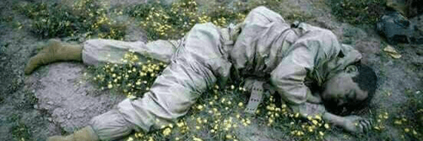 ‌حامد‌'s header picture