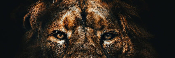 ‌Emad‌'s header picture