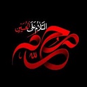 Profile picture of ‌سیدحامد سیدصدری‌