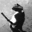Profile picture of ‌گوربا‌یِ موبارِز‌
