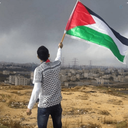 Profile picture of ‌احمد ارباب‌