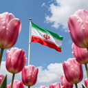 Profile picture of ‌علیرضا محبوب نیا‌