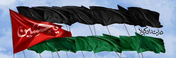 ‌محمدرضا تمسکنی🎒‌'s header picture