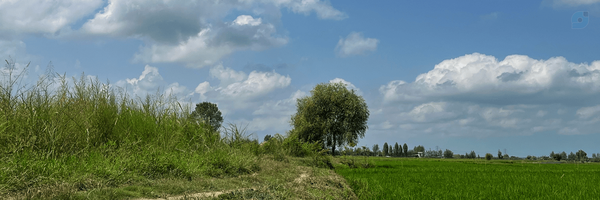 ‌Mimba .‌'s header picture