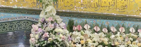 ‌رقیه سلیمانی‌'s header picture