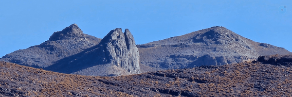 ‌javad‌'s header picture