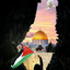 Profile picture of ‌محمدرضا علیزاده‌