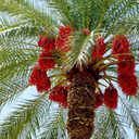 Profile picture of ‌مرتضی رحیمی‌