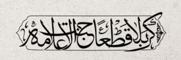 ‌مائده خانوم❤️‍🩹🖇‌'s header picture