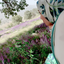 Profile picture of ‌Marzieh Raeisi‌