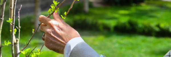 ‌ریحان‌'s header picture