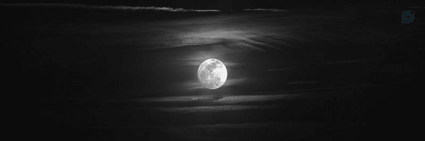 ‌علی حسنی‌'s header picture