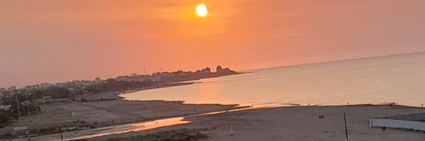 ‌رُز آبی‌'s header picture