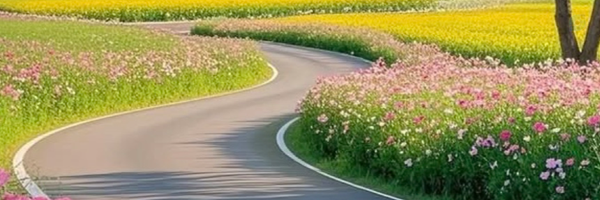 ‌نجمه‌'s header picture