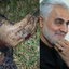 Profile picture of ‌مسلم میرزایی‌