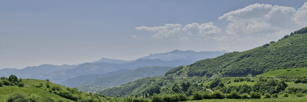 ‌Mahdis Hajimohammadi‌'s header picture