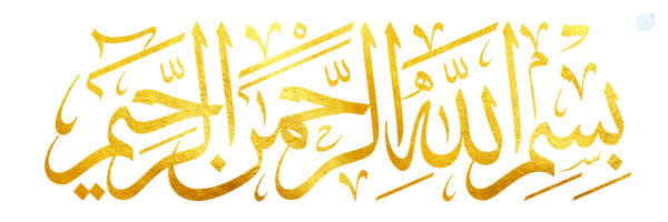 ‌سجاد جمشیدی‌'s header picture
