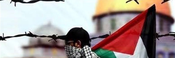 ‌مهندس رضایی‌'s header picture