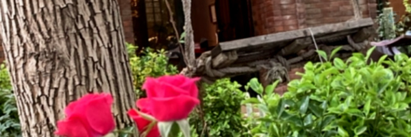 ‌ahmad Adiban‌'s header picture