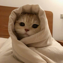 Profile picture of ‌فـــــاطمـہ‌بانو‌