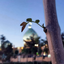 Profile picture of ‌مُحِـبُ الحُسِیـنْـــ‌