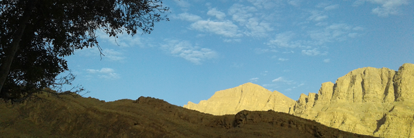‌حامد نیکونیا‌'s header picture