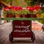Profile picture of ‌یا مهدی ادرکنا‌