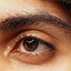 Profile picture of ‌•Mehrzad•‌