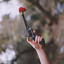 Profile picture of ‌ms_zarei🌱‌
