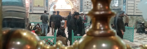 ‌ندا توکلی‌'s header picture
