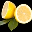 Profile picture of ‌عروسک گوگولی مگولی لیمویی‌