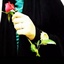 Profile picture of ‌هانیه ناظری‌