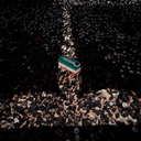 Profile picture of ‌مسافر‌