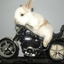 Profile picture of ‌مهرگآن🐇‌