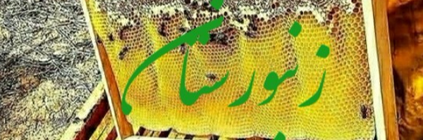 ‌زنبورستان عسل‌'s header picture