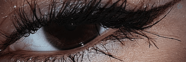 ‌ایراندُخت‌'s header picture
