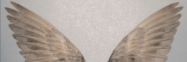 ‌Roza‌'s header picture