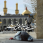Profile picture of ‌hadis e Eshgh‌