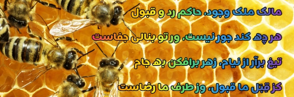 ‌M Alizade‌'s header picture