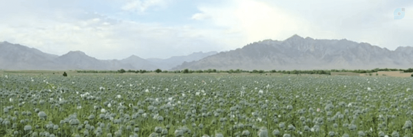 ‌رضوانی‌'s header picture