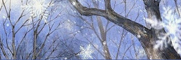‌سُعاد‌'s header picture
