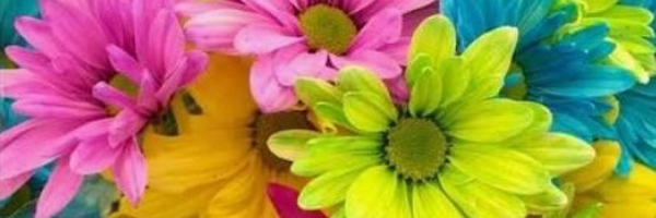 ‌خبرنگار۲۴‌'s header picture