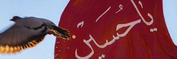 ‌فرياد بي صدا‌'s header picture