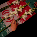 Profile picture of ‌دُخـتَـࢪِ سـ𝐀𝐥𝐢ـید🇮🇷‌